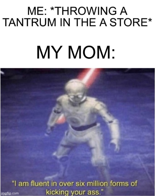 image tagged in i am fluent in over six million forms of kicking your ass,funny,star wars,mom | made w/ Imgflip meme maker