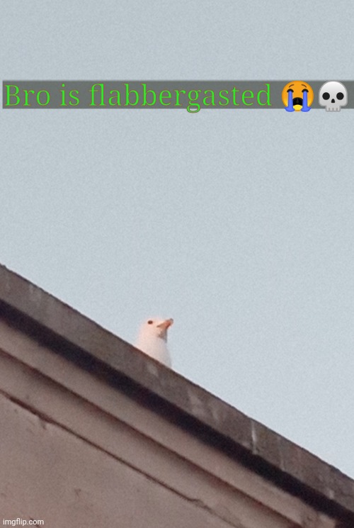 Bro is flabbergasted 😭💀 | made w/ Imgflip meme maker