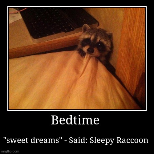 Sleepy Raccoon | Bedtime | "sweet dreams" - Said: Sleepy Raccoon | image tagged in funny,demotivationals | made w/ Imgflip demotivational maker