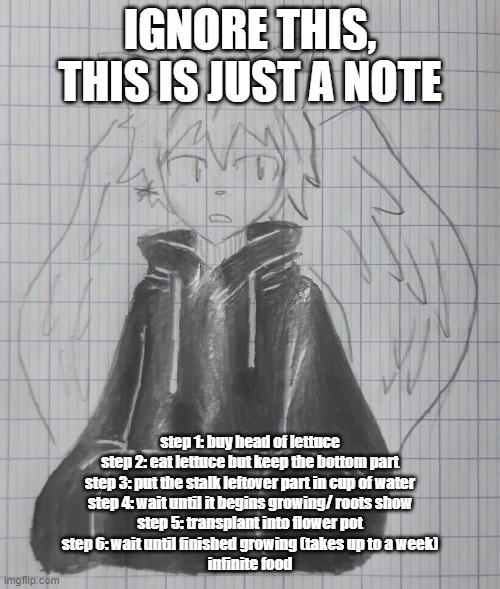 cosmos | IGNORE THIS, THIS IS JUST A NOTE; step 1: buy head of lettuce
step 2: eat lettuce but keep the bottom part
step 3: put the stalk leftover part in cup of water
step 4: wait until it begins growing/ roots show
step 5: transplant into flower pot
step 6: wait until finished growing (takes up to a week)
infinite food | image tagged in astral | made w/ Imgflip meme maker