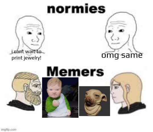 Im a girl sooo | i cant wait to
print jewelry! omg same | image tagged in memers vs normies,girls poop too | made w/ Imgflip meme maker