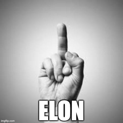 Elon's Bird | ELON | image tagged in fu,elon,elon musk,go fuck yourself | made w/ Imgflip meme maker