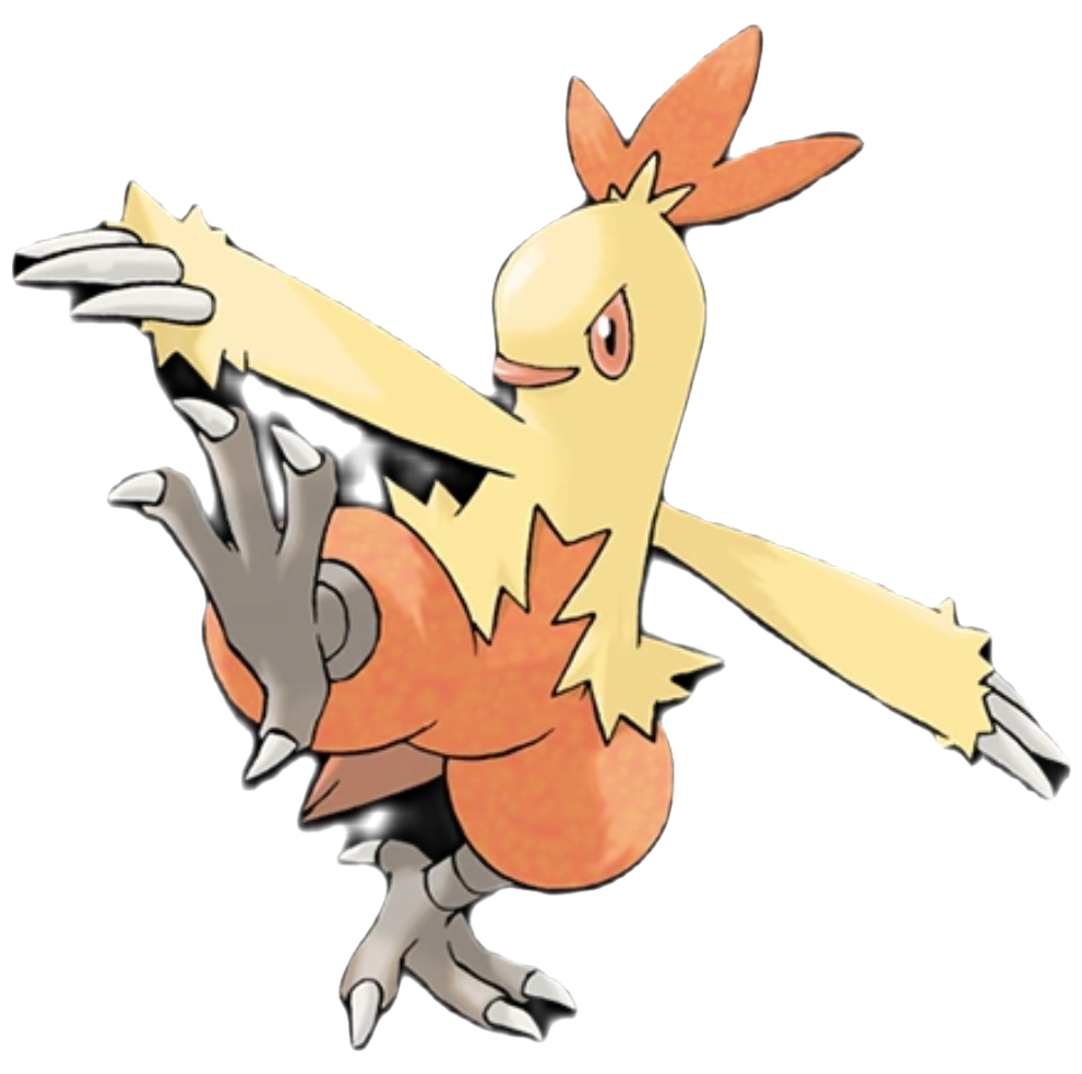 Combusken Blank Meme Template