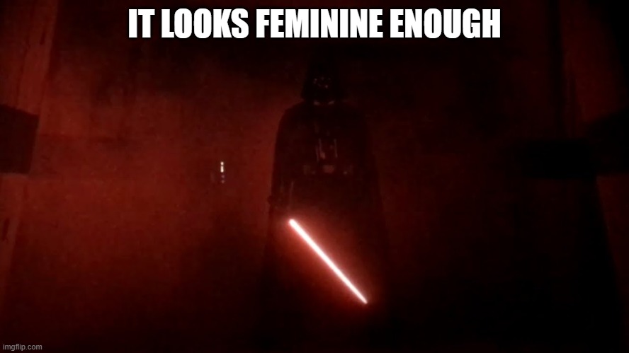 darth vader rogue one hallway | IT LOOKS FEMININE ENOUGH | image tagged in darth vader rogue one hallway | made w/ Imgflip meme maker