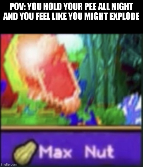 *blows into pieces* (offensive memes #3) | POV: YOU HOLD YOUR PEE ALL NIGHT AND YOU FEEL LIKE YOU MIGHT EXPLODE | image tagged in max nut,memes,funni | made w/ Imgflip meme maker