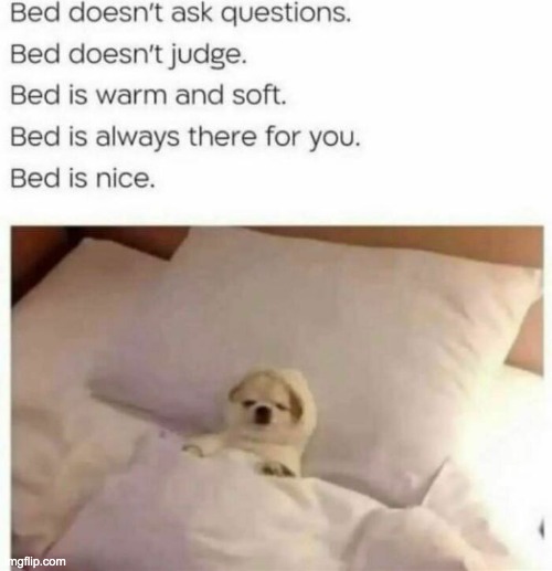 image tagged in memes | made w/ Imgflip meme maker