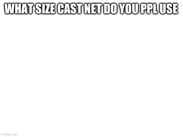 I use a 3 ft or 4 ft because I can throw them far and accurately | WHAT SIZE CAST NET DO YOU PPL USE | image tagged in fishing | made w/ Imgflip meme maker