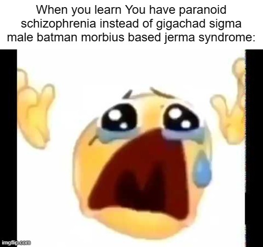 cursed crying emoji | When you learn You have paranoid schizophrenia instead of gigachad sigma male batman morbius based jerma syndrome: | image tagged in cursed crying emoji | made w/ Imgflip meme maker