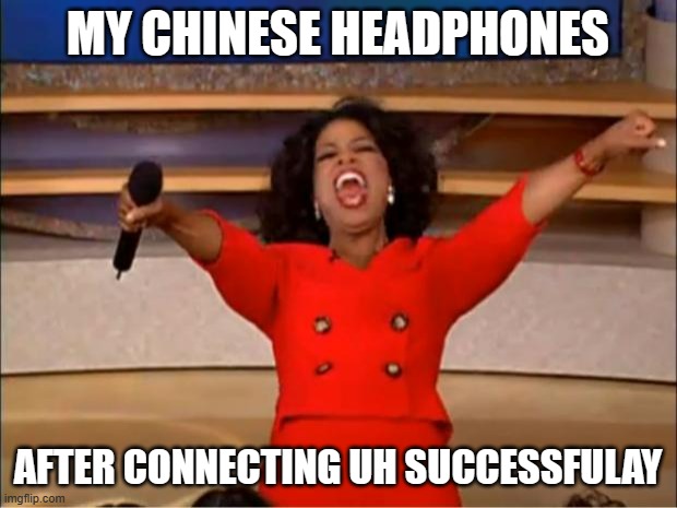 the blutoth devais is conected uh succesfulay | MY CHINESE HEADPHONES; AFTER CONNECTING UH SUCCESSFULAY | image tagged in memes,oprah you get a | made w/ Imgflip meme maker