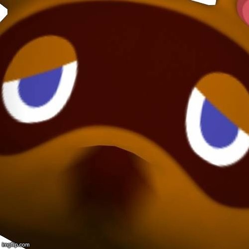 Tom Nook | image tagged in tom nook | made w/ Imgflip meme maker