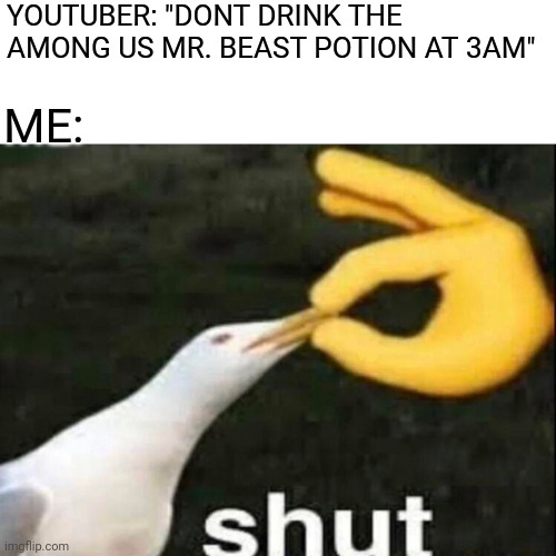 Real | YOUTUBER: "DONT DRINK THE AMONG US MR. BEAST POTION AT 3AM"; ME: | image tagged in shut,among us,mr beast,3am,get real,you have been eternally cursed for reading the tags | made w/ Imgflip meme maker