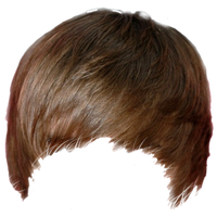 High Quality bieber hair Blank Meme Template