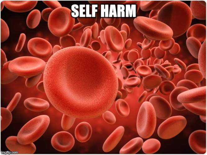 gore | SELF HARM | image tagged in memes,troll | made w/ Imgflip meme maker