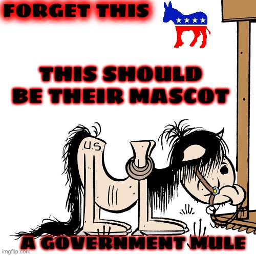 BECAUSE THE DEMOCRATS ARE STUBBORN AS MULES | FORGET THIS; THIS SHOULD BE THEIR MASCOT; A GOVERNMENT MULE | image tagged in government mule,stubborn | made w/ Imgflip meme maker