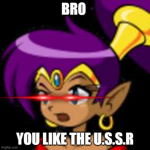 lol | BRO; YOU LIKE THE U.S.S.R | image tagged in shantae questioning | made w/ Imgflip meme maker