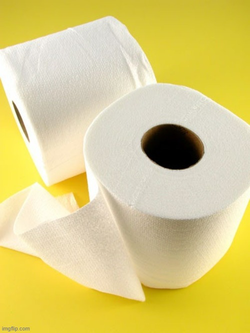 Toliet paper | image tagged in toliet paper | made w/ Imgflip meme maker