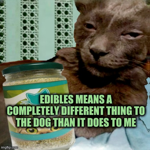 Shit Poster 4 Lyfe | EDIBLES MEANS A COMPLETELY DIFFERENT THING TO THE DOG THAN IT DOES TO ME | image tagged in ship osta 4 lyfe,cats,litter box,snacks,bad dog | made w/ Imgflip meme maker