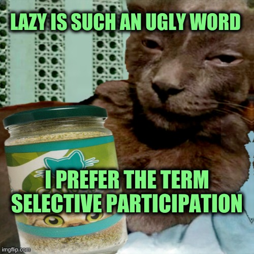 Selective | LAZY IS SUCH AN UGLY WORD; I PREFER THE TERM SELECTIVE PARTICIPATION | image tagged in ship osta 4 lyfe,cats,lazy,the most interesting cat in the world,what if i told you,one does not simply | made w/ Imgflip meme maker