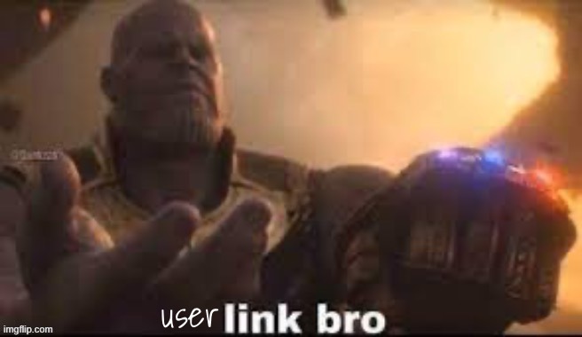 link bro | user | image tagged in link bro | made w/ Imgflip meme maker