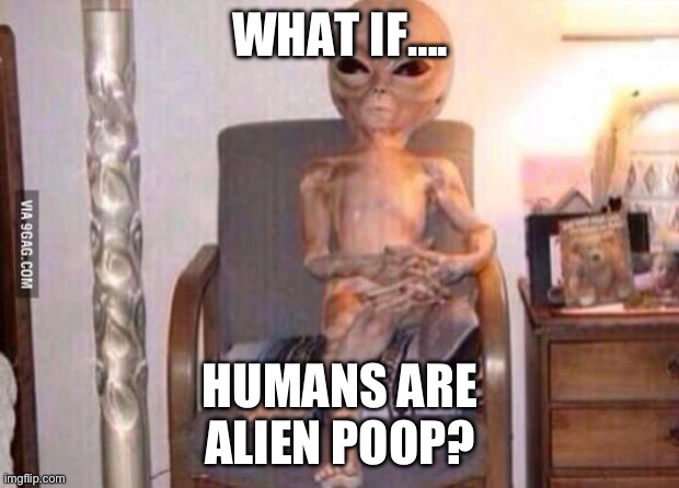 Poop | WHAT IF…. HUMANS ARE ALIEN POOP? | image tagged in high alien fma | made w/ Imgflip meme maker
