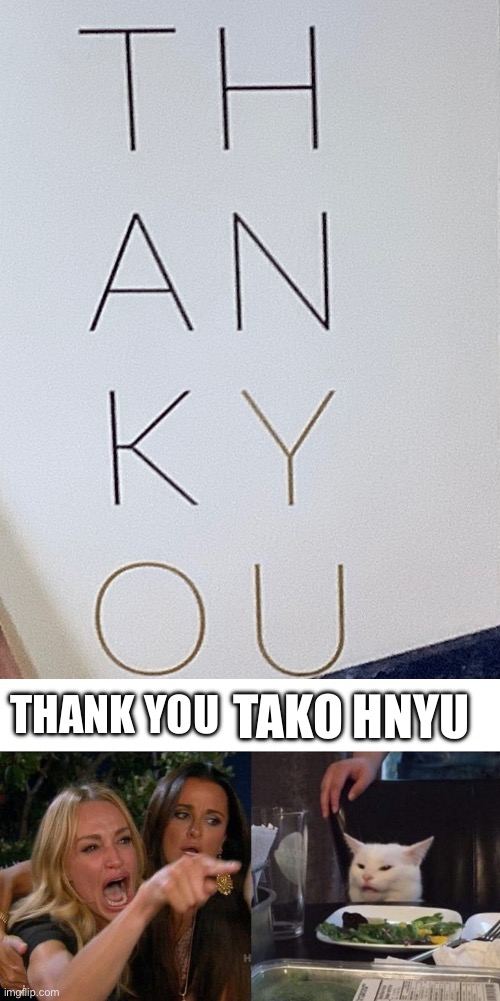 Bro | THANK YOU; TAKO HNYU | image tagged in memes,woman yelling at cat | made w/ Imgflip meme maker