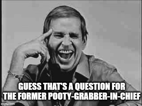 Laughing Paul Lynde | GUESS THAT'S A QUESTION FOR THE FORMER POOTY-GRABBER-IN-CHIEF | image tagged in laughing paul lynde | made w/ Imgflip meme maker