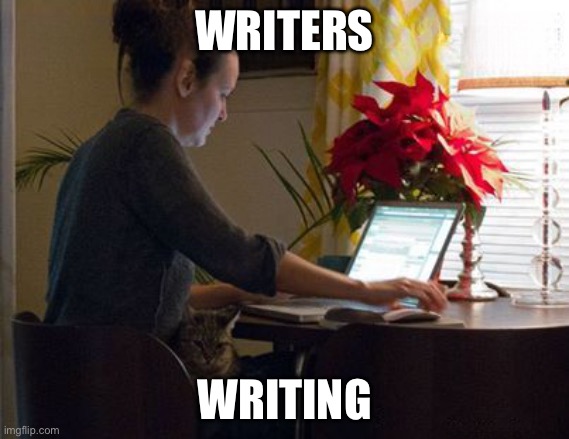 Writers | WRITERS; WRITING | image tagged in writer | made w/ Imgflip meme maker
