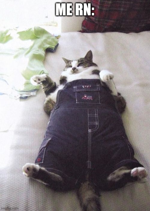 Fat Cat Meme | ME RN: | image tagged in memes,fat cat | made w/ Imgflip meme maker