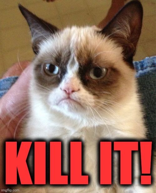 Grumpy Cat Meme | KILL IT! | image tagged in memes,grumpy cat | made w/ Imgflip meme maker