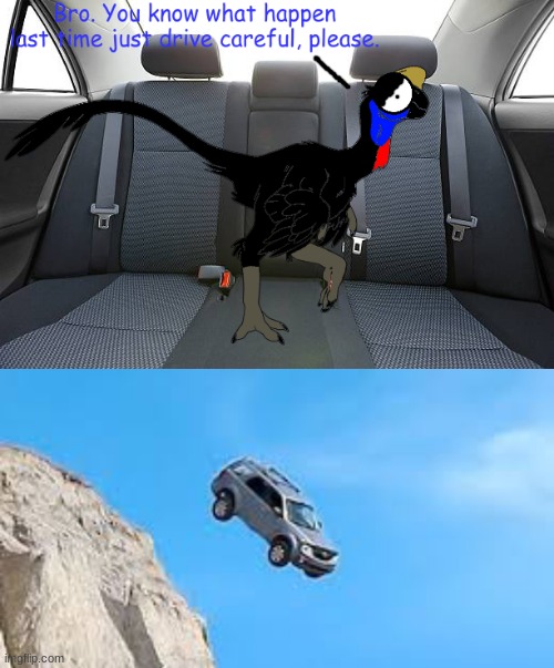 image tagged in car goes over cliff | made w/ Imgflip meme maker