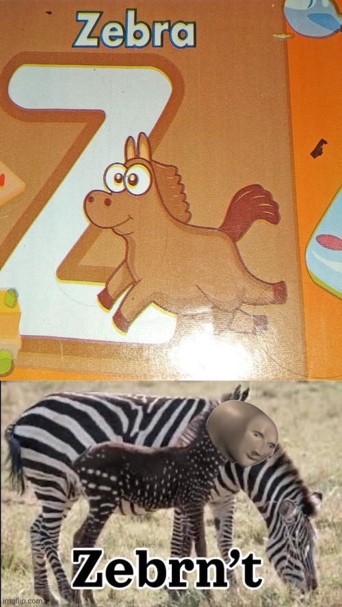 Not really a Zebra | image tagged in zenbrnt,you had one job,zebra,z,zebras,memes | made w/ Imgflip meme maker