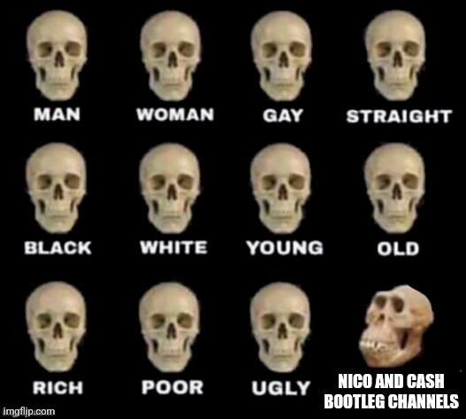Roasting YouTube kids again | NICO AND CASH BOOTLEG CHANNELS | image tagged in idiot skull | made w/ Imgflip meme maker