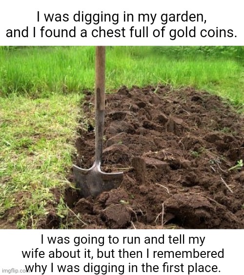 Meme #2,299 | I was digging in my garden, and I found a chest full of gold coins. I was going to run and tell my wife about it, but then I remembered why I was digging in the first place. | image tagged in memes,garden,treasure,dark humor,jokes,wife | made w/ Imgflip meme maker