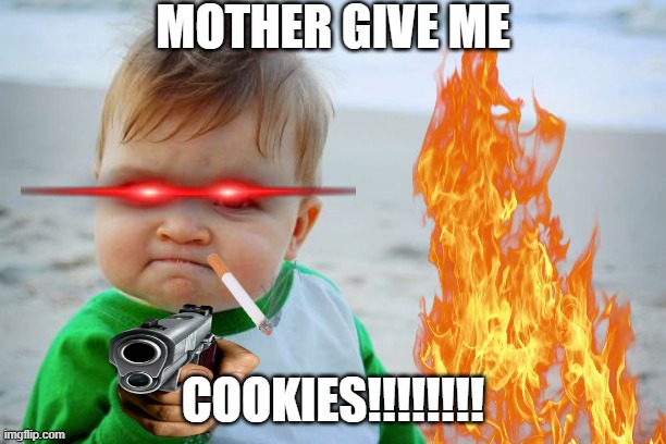 Success Kid Original | MOTHER GIVE ME; COOKIES!!!!!!!! | image tagged in memes,success kid original | made w/ Imgflip meme maker