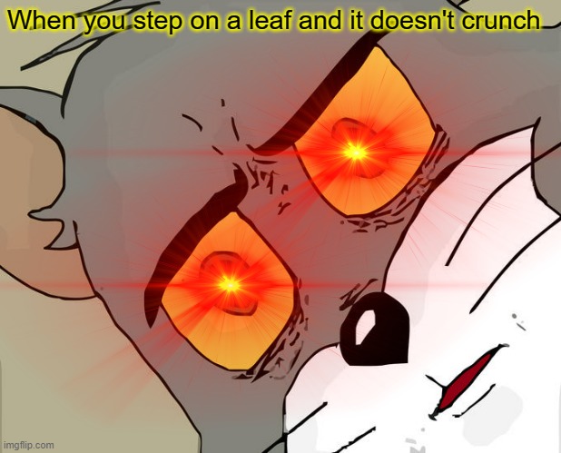 Relatable?? Anyone?? | When you step on a leaf and it doesn't crunch | image tagged in funny | made w/ Imgflip meme maker