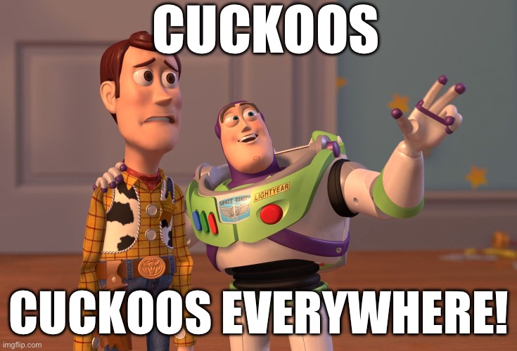 A random meme | CUCKOOS; CUCKOOS EVERYWHERE! | image tagged in memes,x x everywhere,cuckoo,random | made w/ Imgflip meme maker