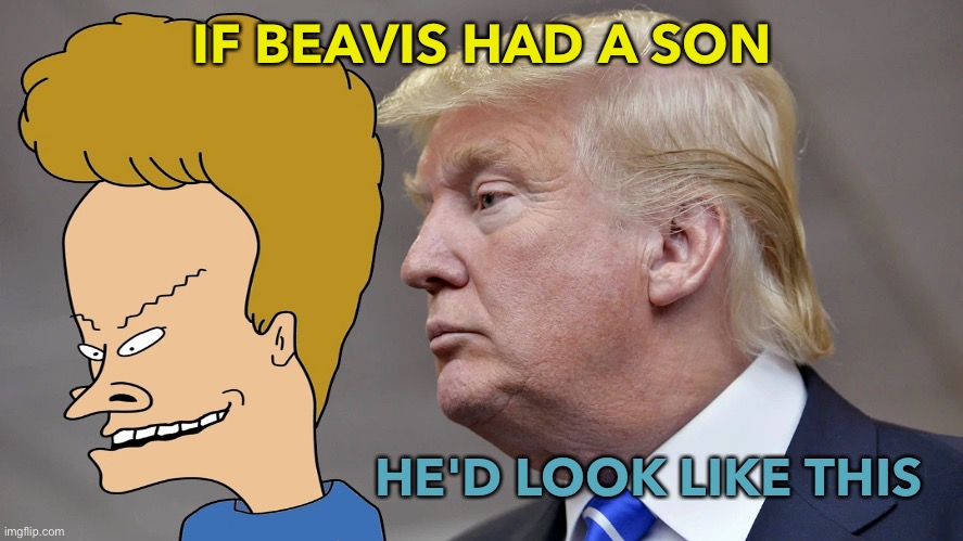 IF BEAVIS HAD A SON | IF BEAVIS HAD A SON; HE'D LOOK LIKE THIS | image tagged in donald trump,usa,america,political meme,politics | made w/ Imgflip meme maker