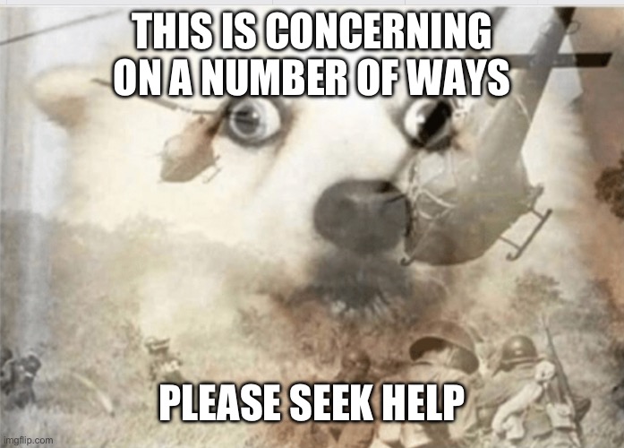 PTSD dog | THIS IS CONCERNING ON A NUMBER OF WAYS PLEASE SEEK HELP | image tagged in ptsd dog | made w/ Imgflip meme maker