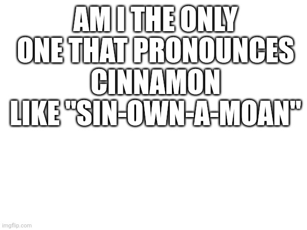 I've only heard it pronounces like that by like one other person | AM I THE ONLY ONE THAT PRONOUNCES CINNAMON LIKE "SIN-OWN-A-MOAN" | image tagged in blank white template | made w/ Imgflip meme maker