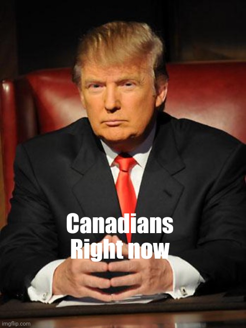 Serious Trump | Canadians Right now | image tagged in serious trump | made w/ Imgflip meme maker