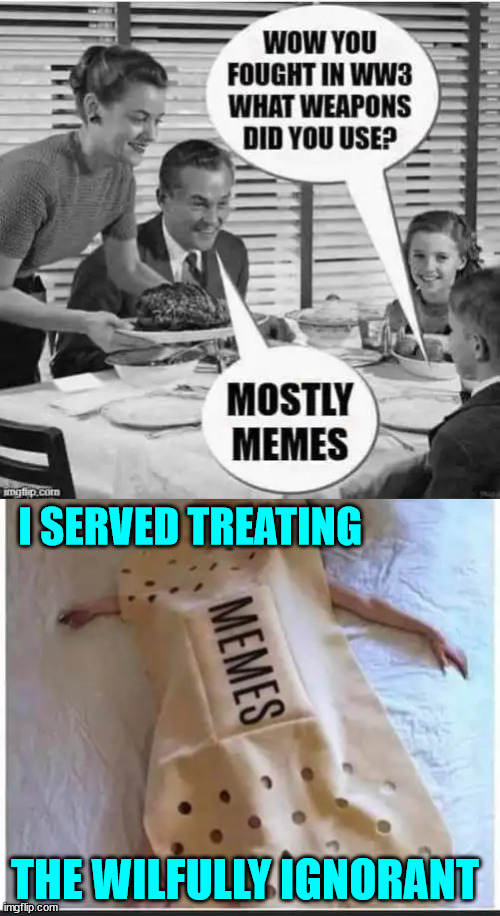 Meme warfare... | I SERVED TREATING; THE WILFULLY IGNORANT | image tagged in ww3,memes | made w/ Imgflip meme maker