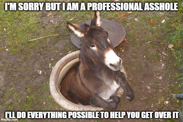 I'm an asshole | I'M SORRY BUT I AM A PROFESSIONAL ASSHOLE; I'LL DO EVERYTHING POSSIBLE TO HELP YOU GET OVER IT | image tagged in asshole | made w/ Imgflip meme maker