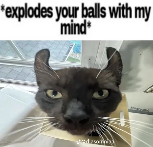 I cracked my phone screen and now it looks like there’s a hair in my phone. I’m gonna go insane. | made w/ Imgflip meme maker