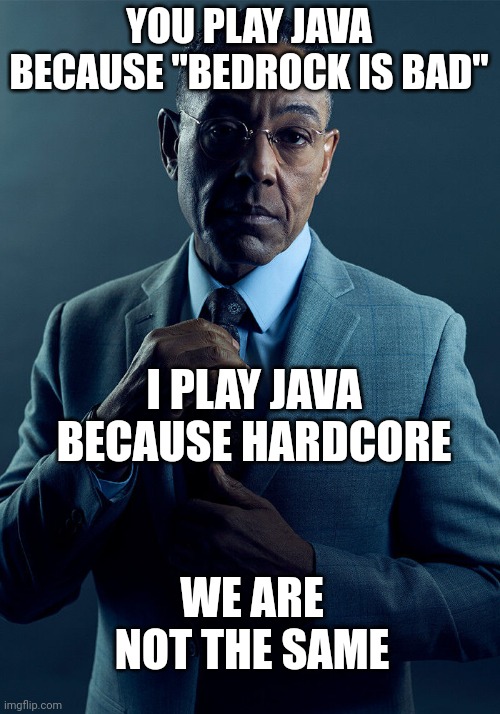 Maybe shaders too but bedrock is getting that now | YOU PLAY JAVA BECAUSE "BEDROCK IS BAD"; I PLAY JAVA BECAUSE HARDCORE; WE ARE NOT THE SAME | image tagged in gus fring we are not the same,minecraft,java,minecraft memes | made w/ Imgflip meme maker