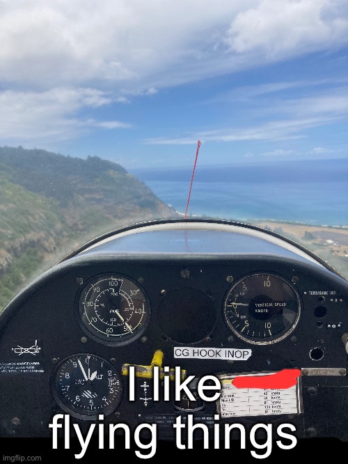 I like flying things | made w/ Imgflip meme maker