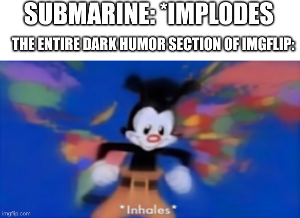 *prepares to mass produces 2,000,000 unfunny memes | SUBMARINE: *IMPLODES; THE ENTIRE DARK HUMOR SECTION OF IMGFLIP: | image tagged in yakko inhale,memes,submarine,oceangate,implosion,dark humor | made w/ Imgflip meme maker