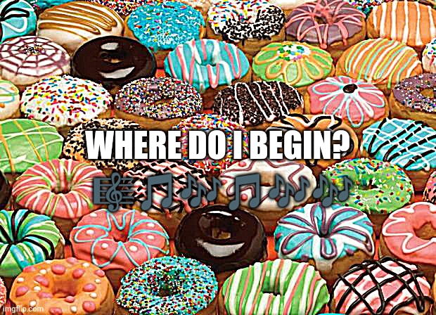donuts | WHERE DO I BEGIN? 🎼🎵🎶🎵🎶🎶 | image tagged in donuts | made w/ Imgflip meme maker