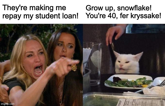 Repay student loan | They're making me repay my student loan! Grow up, snowflake! You're 40, fer kryssake! | image tagged in memes,woman yelling at cat | made w/ Imgflip meme maker