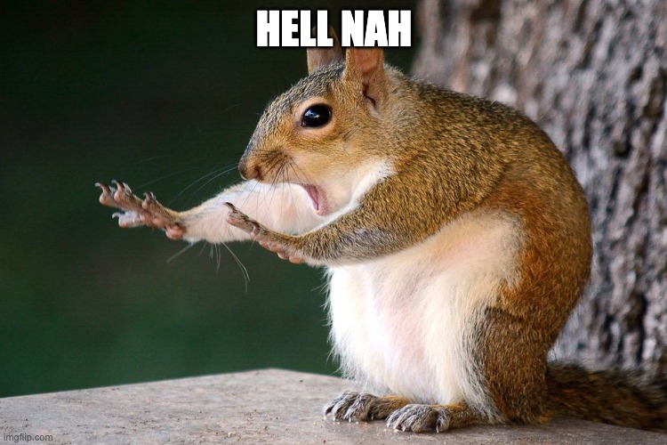 Squirrel no | HELL NAH | image tagged in squirrel no | made w/ Imgflip meme maker