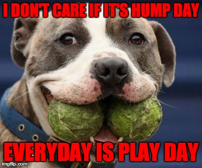 I DON'T CARE IF IT'S HUMP DAY EVERYDAY IS PLAY DAY | image tagged in greedy | made w/ Imgflip meme maker